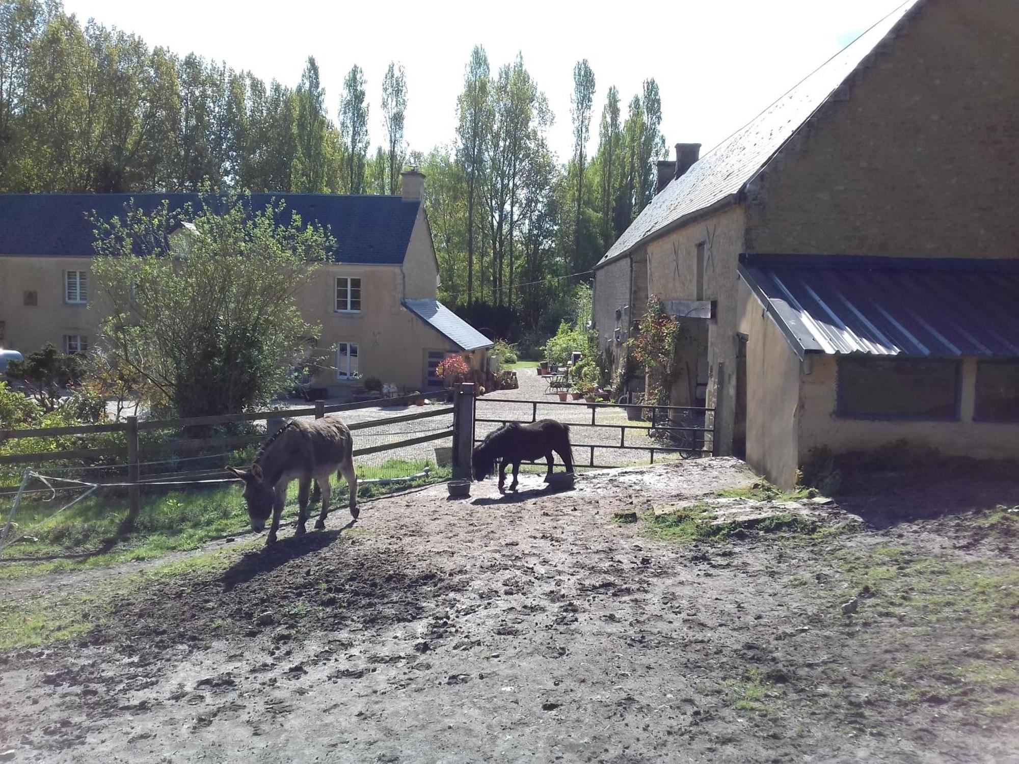 Gite Du Jardin Des Sources Villa Vaux-sur-Seulles Exterior foto